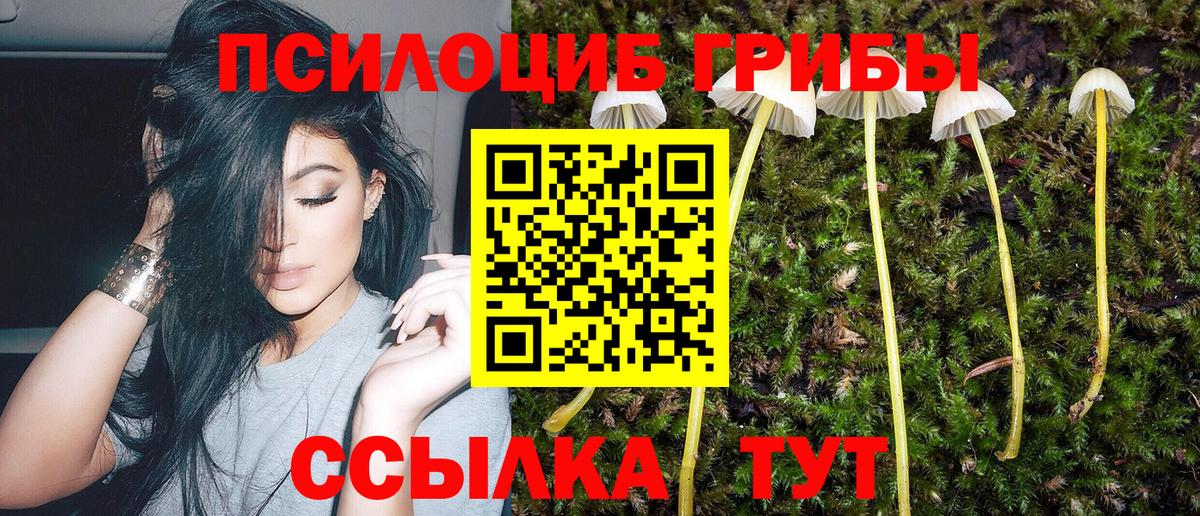 Галлюциногенные грибы Psilocybe  Вход с VPN  Кисловодск  Галлюциногенные грибы мицелий 