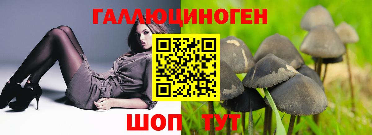 Галлюциногенные грибы Cubensis Кисловодск
