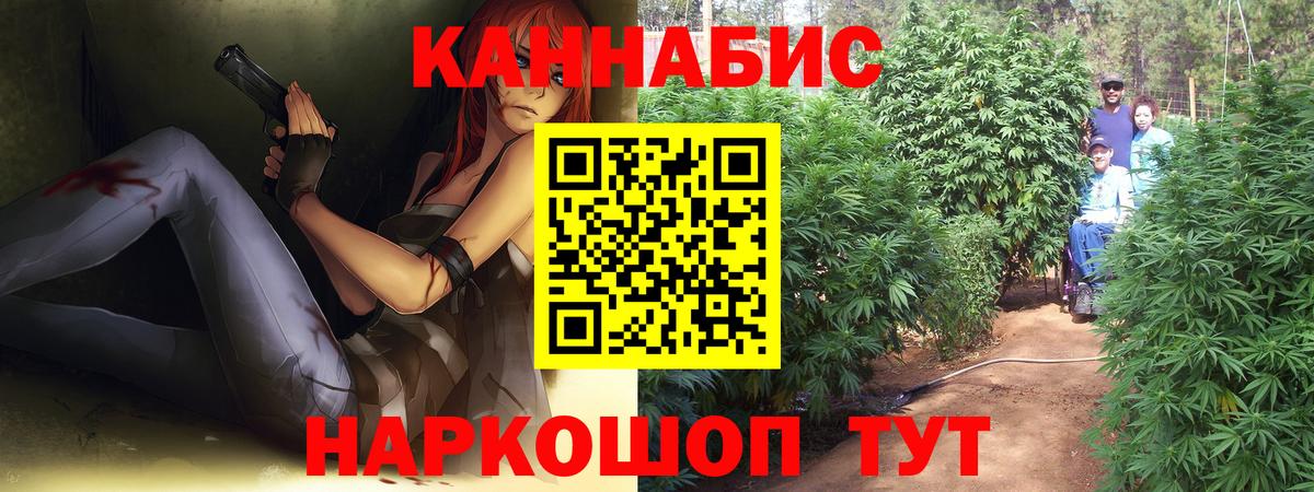 Конопля индика  Бошки Шишки гибрид  Шишки марихуана планчик  Бошки марихуана VHQ  Кисловодск  Вход с VPN 
